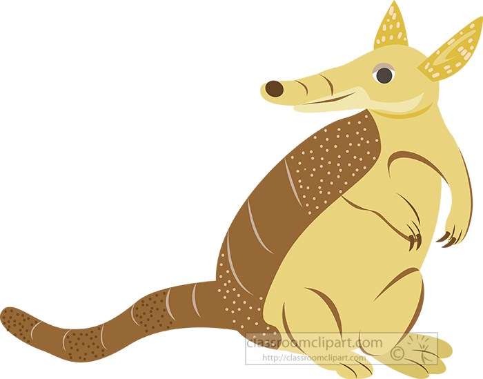 armadillo-standing-on-back-lets.jpg