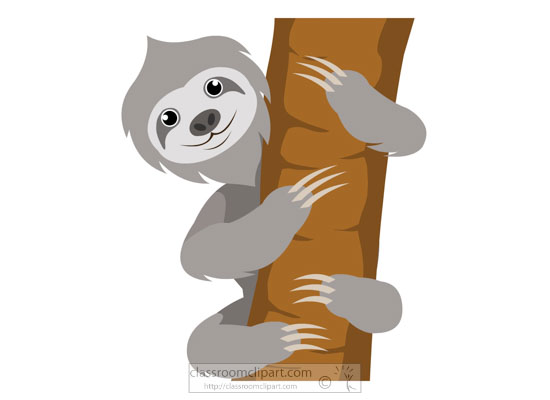 clipart-sloth-hanging-on-tree-branch.jpg