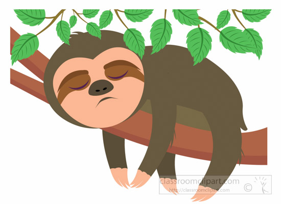cute-sloth-sleeping-on-tree-clipart.jpg