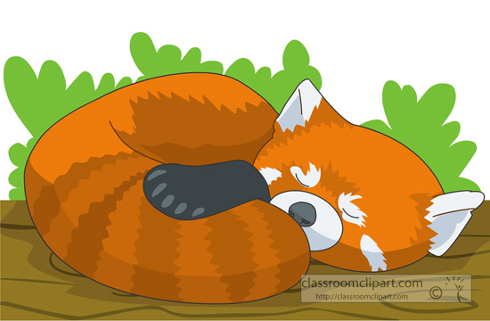 red-panda-sleeping-clipart.jpg