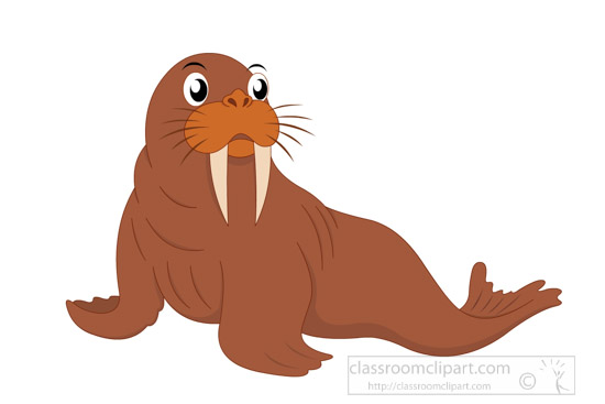 cute-cartoon-style-walrus-animal-clipart.jpg