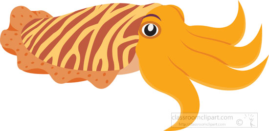 cuttlefish-clipart-sea-animal-clipart.jpg