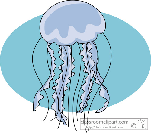 jellyfish_728.jpg