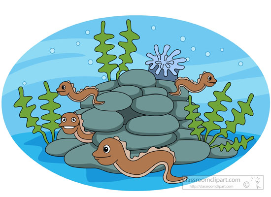 marine-life-baby-eels-clipart-58126.jpg