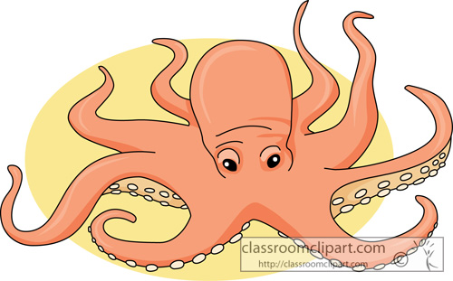 mollusks_giant_octopus_730.jpg