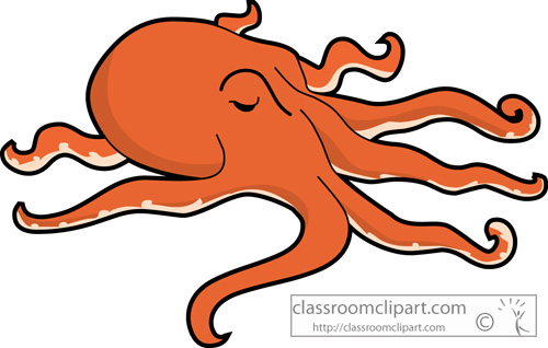 octopus_728b.jpg