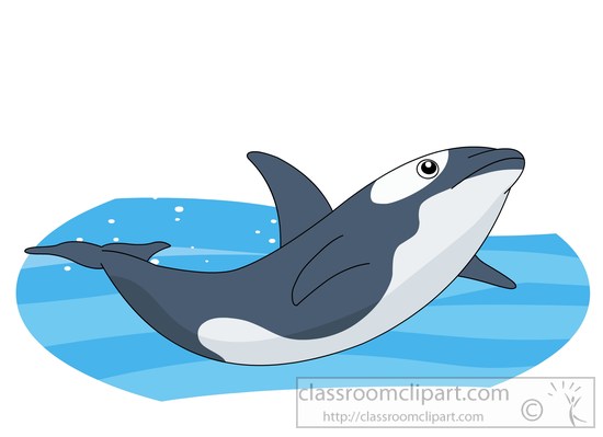 orca-killer-whale-clipart-58100.jpg