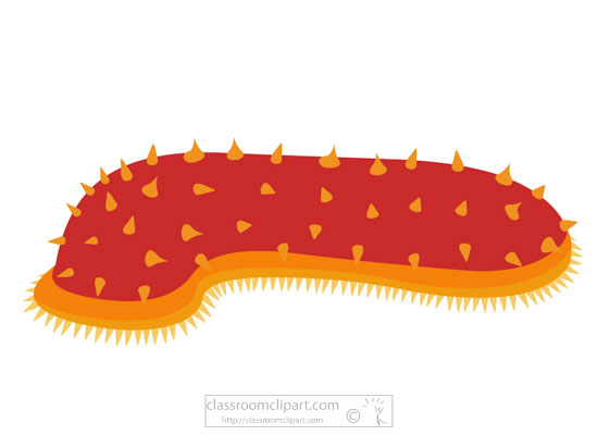 sea-cucumber-marine-animal-clipart.jpg