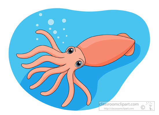 squid-cephalopod-marine-life-024.jpg