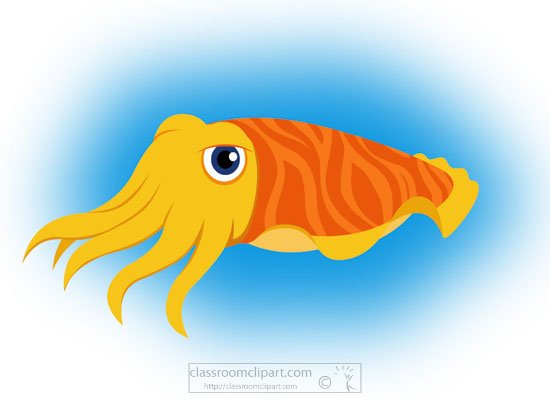 yellow-orange-cuttlefish-mollusc-clipart-718.jpg
