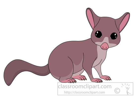 bushtail-possum-clipart-59714.jpg