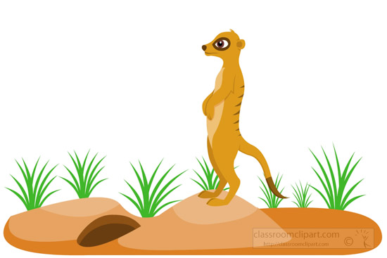 meerkat-in-standing-on-a-rocky-mound-clipart-image-5194.jpg
