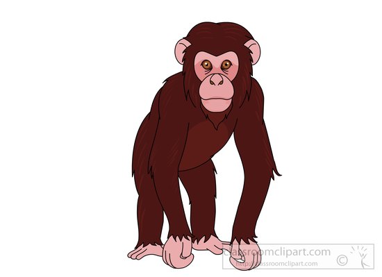 chimpanzee-clipart-72111.jpg