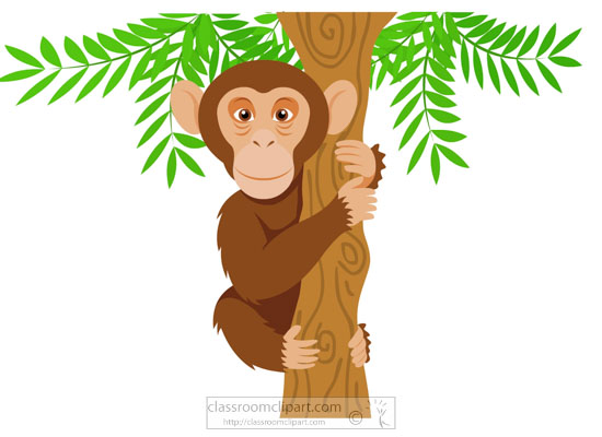 chimpanzee-holding-onto-tree-branch-clipart.jpg