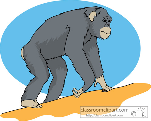 chimpanzee_630.jpg