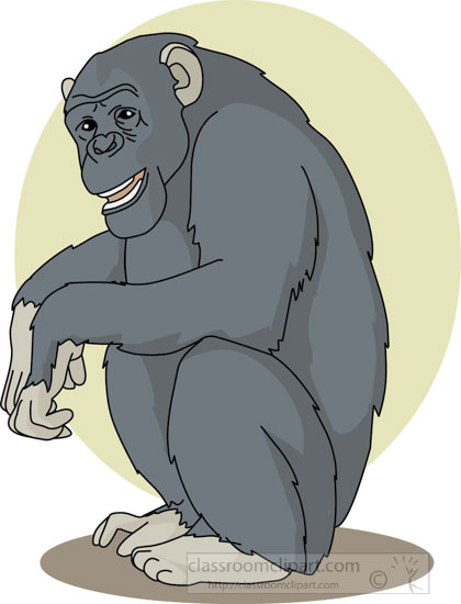 chimpanzee_sitting_04a.jpg
