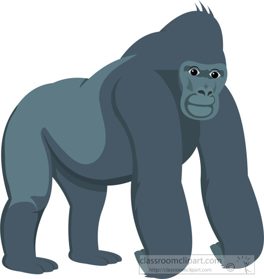gorilla-clipart-617.jpg