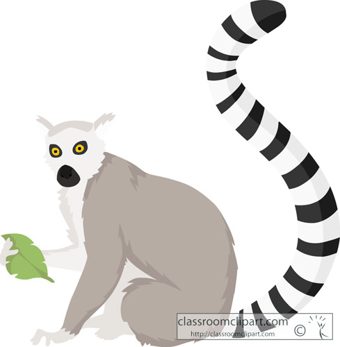 lemur_eating_7132.jpg
