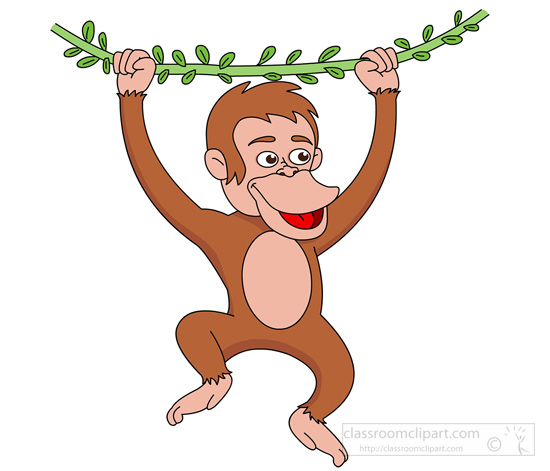 monkey-holding-branch-vine-tree.jpg
