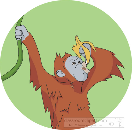 orangutan-hanging-from-tree-eating-banana-clipart-image.jpg