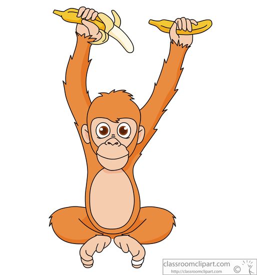orangutan-holding-bananas-914.jpg