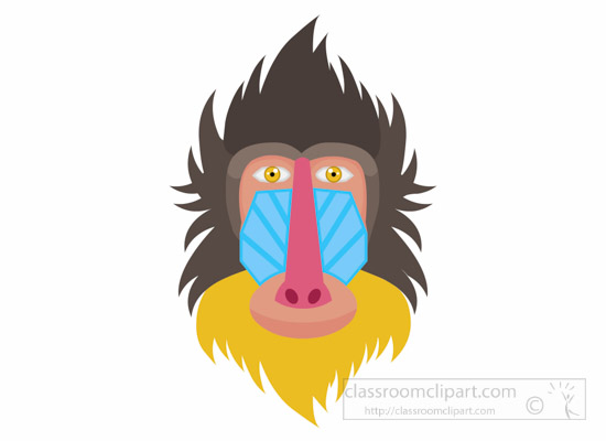 primate-mandrill-largest-monkey-clipart-6920.jpg