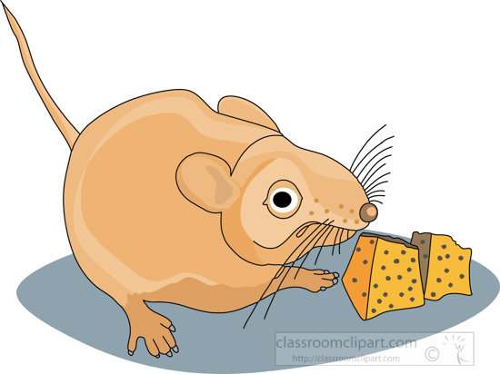 mouse_with_cheese_212_1.jpg
