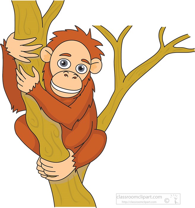 baby-orangutan-holding-on-tree-trunk-clipart.jpg
