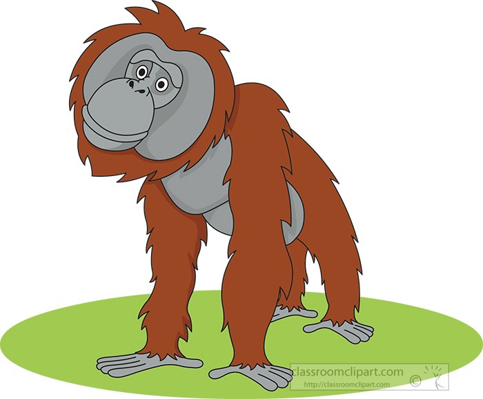 orangutan-borneo-clipart.jpg