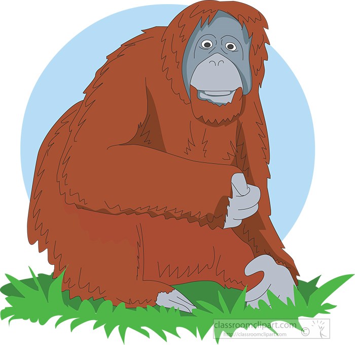 orangutan-sitting-in-grass-clipart-image.jpg