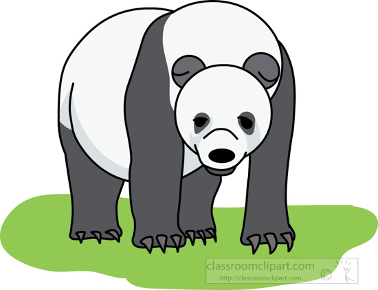 panda_bear_01_212b.jpg