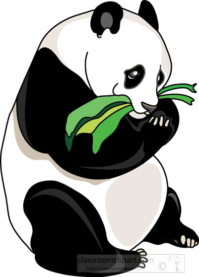 panda_eating_bamboo_212.jpg