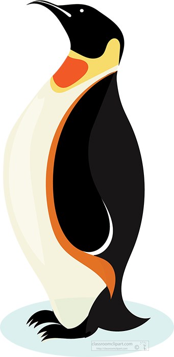 emperor-penguin-standing-vector-clipart.jpg