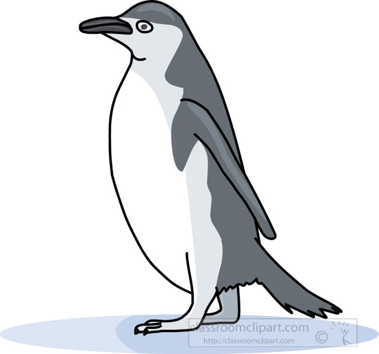penguin_314_03A.jpg