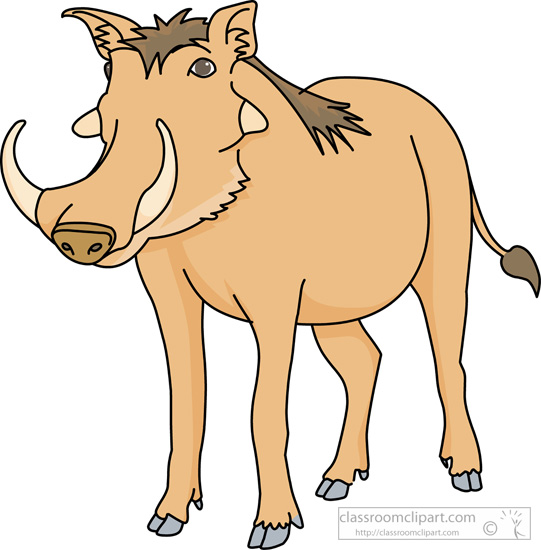 warthog-a-wild-pig.jpg