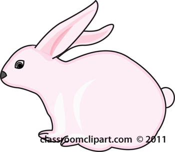 pink-rabbit-608.jpg
