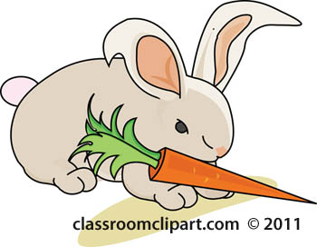 rabbit-with-carrot-0608.jpg