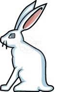 rabbit_22.jpg