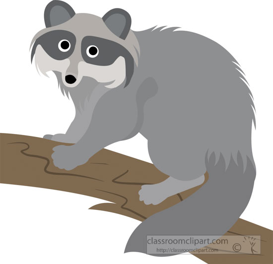 raccoon-climbing-a-tree-branch-clipart.jpg