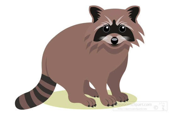 raccoon-clipart-image.jpg