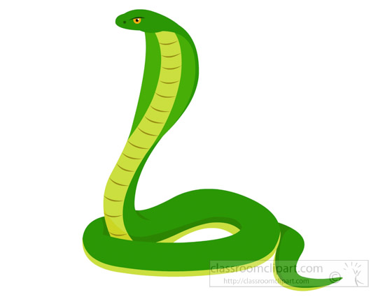 green-cobra-snake-clipart-725.jpg