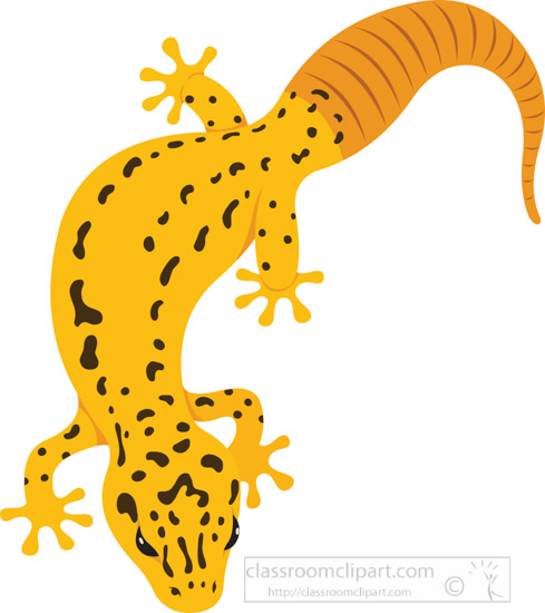 yellow-gecko-lizard-reptile-educational-clip-art-graphic.jpg