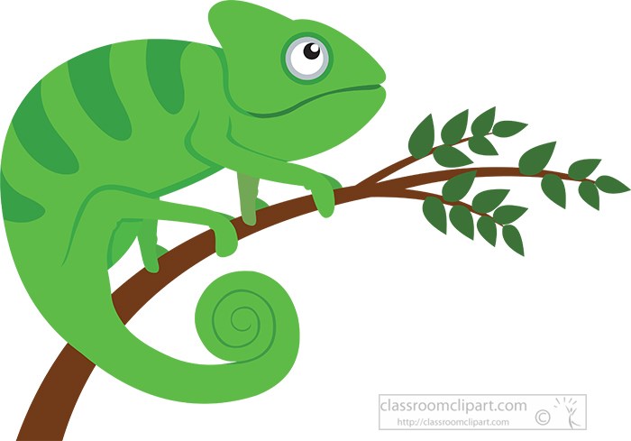 cute-green-chameleon-reptile-clip-art-illustration.jpg