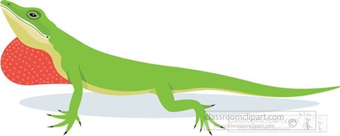 green-anole-small-reptile-clip-art-illustration_01.jpg