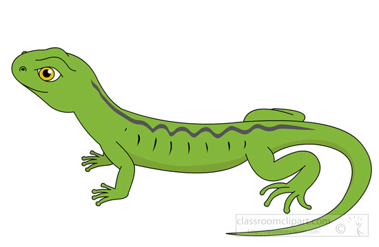 green-lizard-14930.jpg