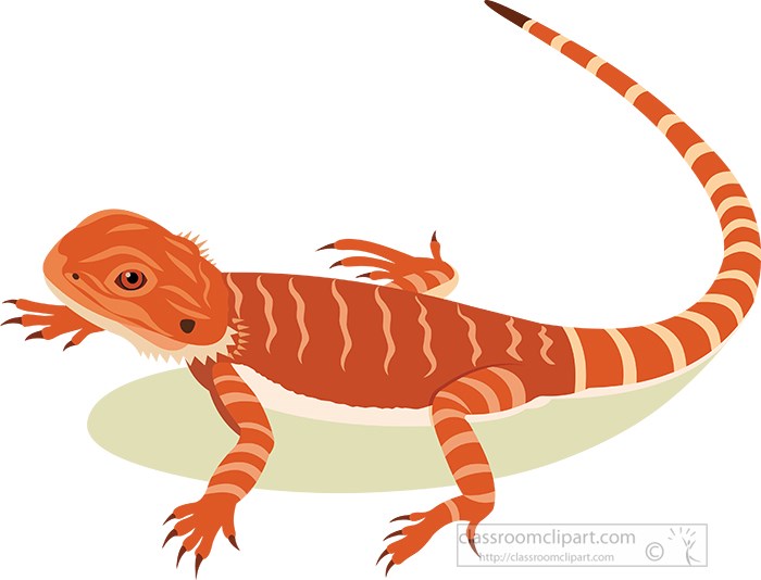 orange-bearded-dragon-reptile-clip-art-illustration.jpg