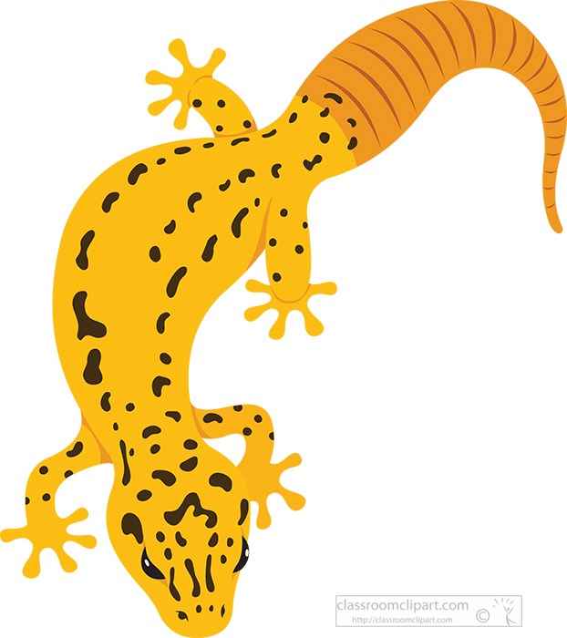 yellow-gecko-lizard-reptile-educational-clip-art-graphic.jpg