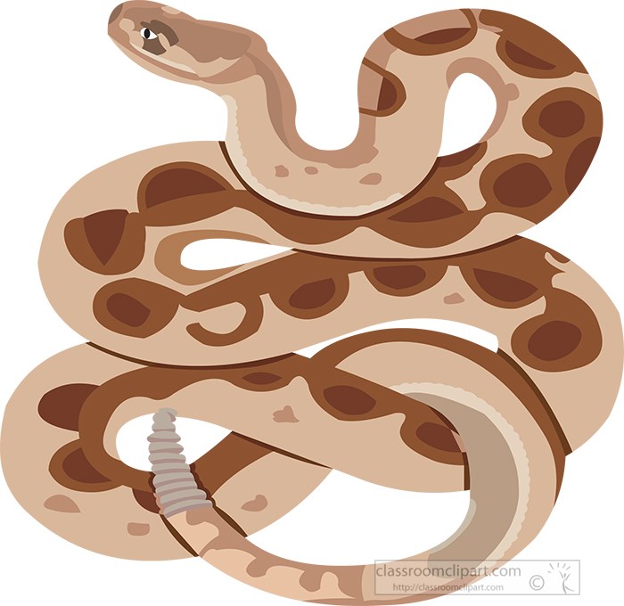 brown-coiled-venemous-rattlesnake-clipart.jpg