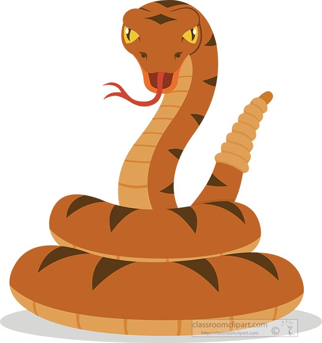 curled-rattlesnake-reptile-educational-clip-art-graphic.jpg