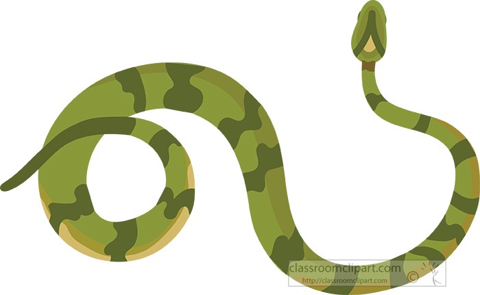 green-coiled-snake-clipart.jpg